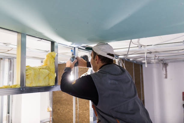 Best Spray Foam Insulation  in Briar Chapel, NC