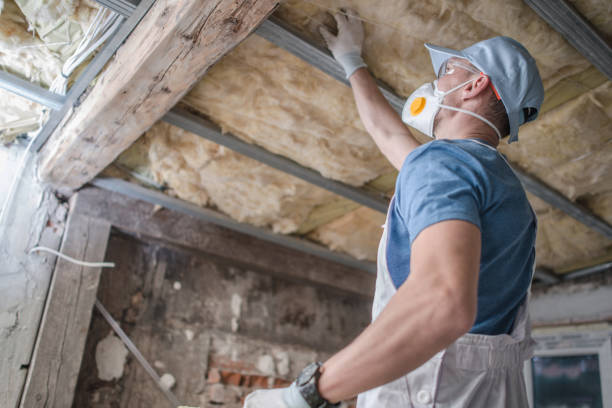 Best Fiberglass Insulation  in Briar Chapel, NC