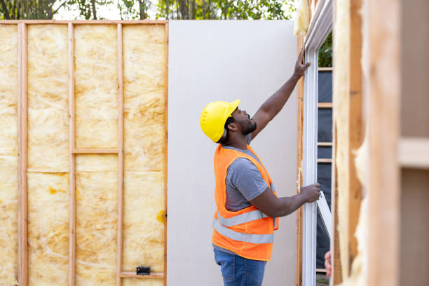 Best Energy-efficient Insulation  in Briar Chapel, NC