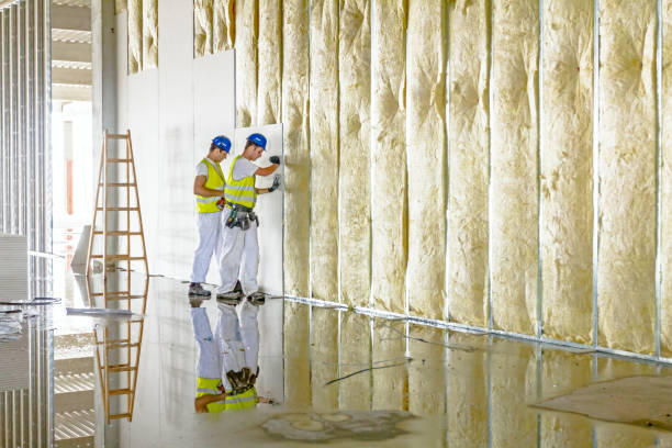 Best Insulation Installation Cost  in Briar Chapel, NC